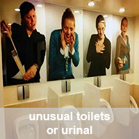 unusual toilets or urinal
