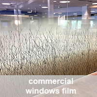 commercial windows film