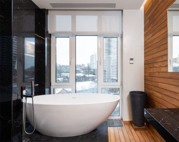 bathroom with a view